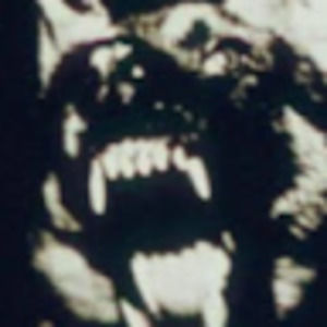 Meet your Posher, Toofers???